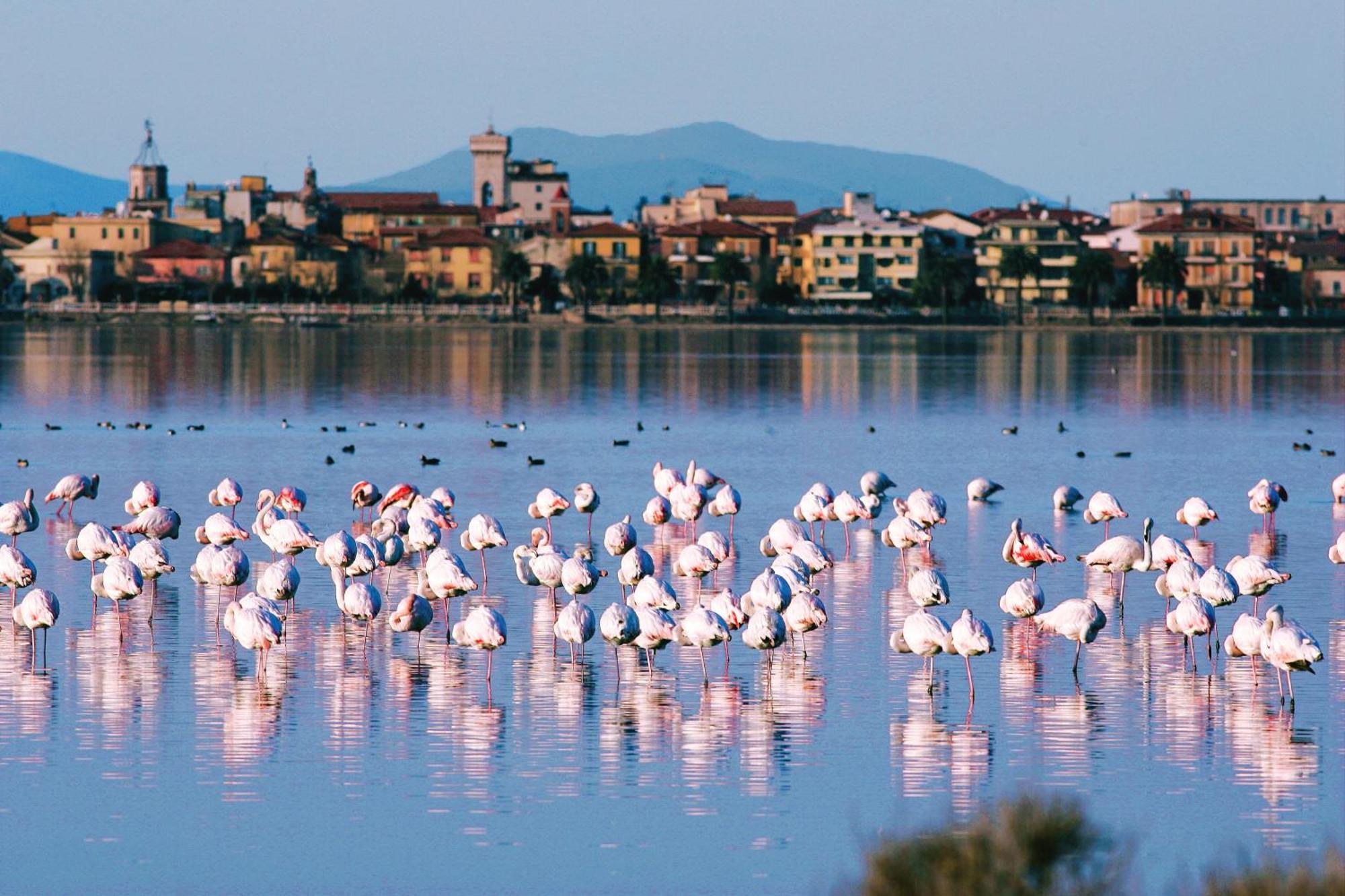 Park Hotel Residence Orbetello Zewnętrze zdjęcie